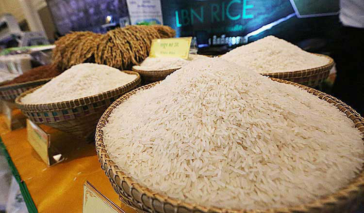 Cambodia exports over 596,000 tonnes of milled rice in first nine months of 2025